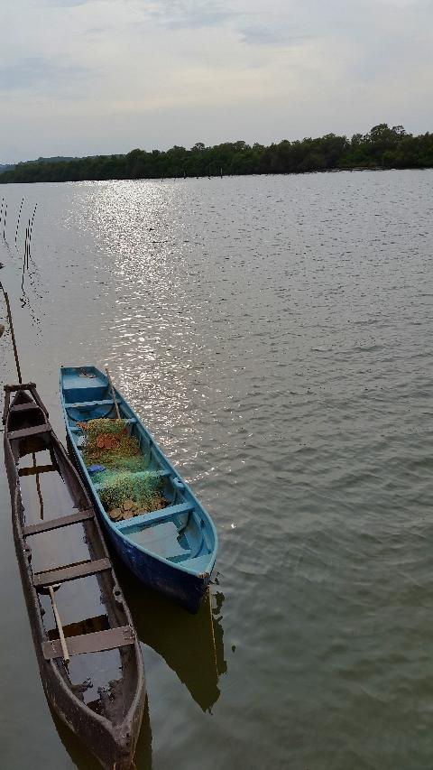 Goa Backwater - Download Goa Photos